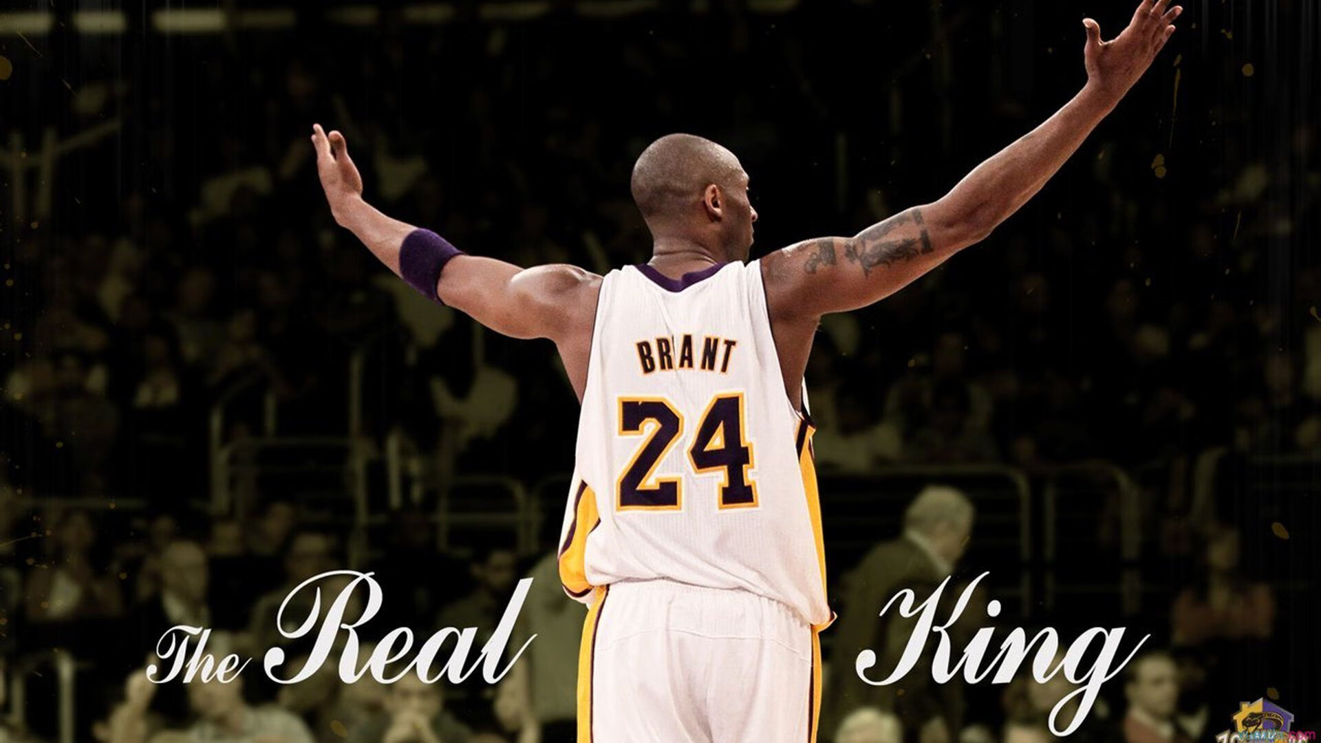 kaiyun体育app-乡村马术表演,传承传统技艺,中国马镇马术表演