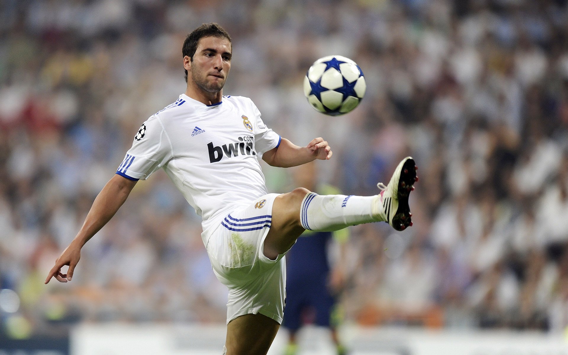 开云·体育官网-哥伦比亚女足在巴黎奥运会上表现出色，赢得多场比赛，哥伦比亚足球美女